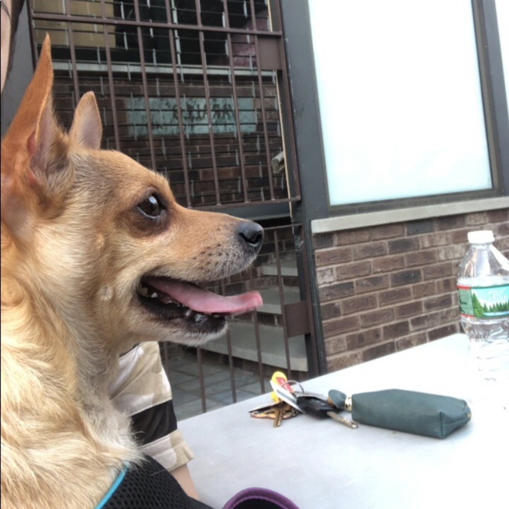 Meet your Posher, Li hong